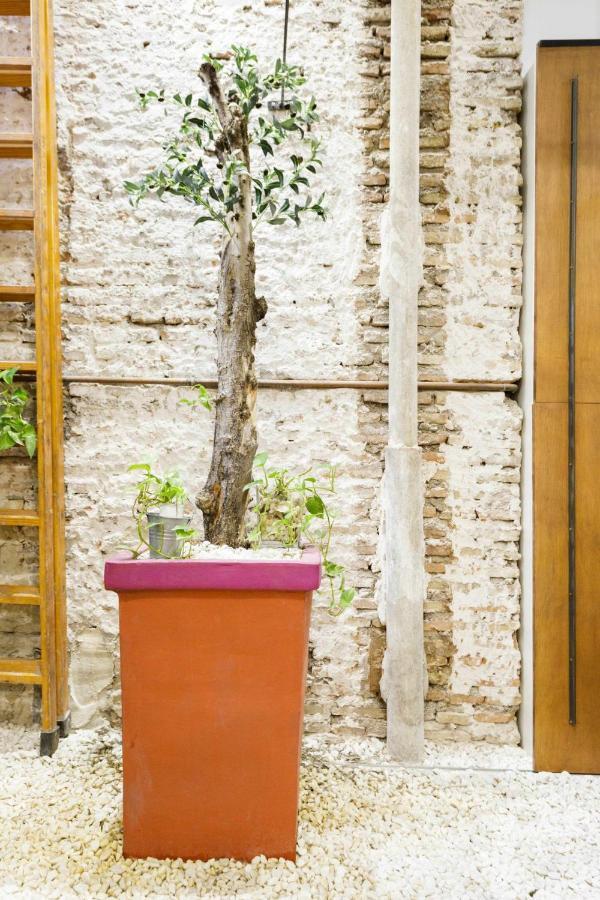 Monkeys Luxury Metaloft Seville